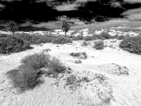 Dunes de Maspalomas